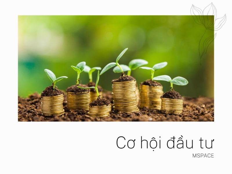 Cơ hội đầu tư