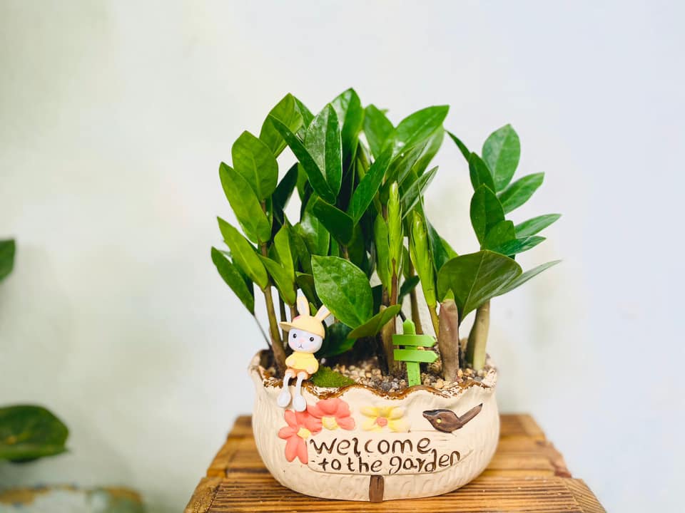 Sử dụng kiêm tiền trang trí không gian làm việc Sử dụng kiêm tiền trang trí không gian làm việc